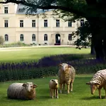 فندق Chateau Mcely