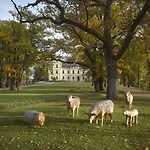 Chateau 5*