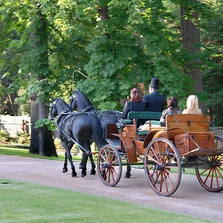 Отель Chateau 5*