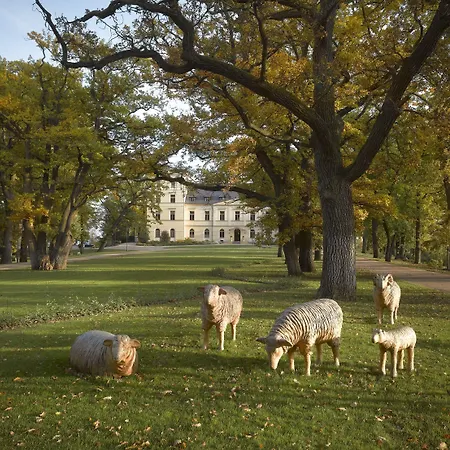 Chateau 5*