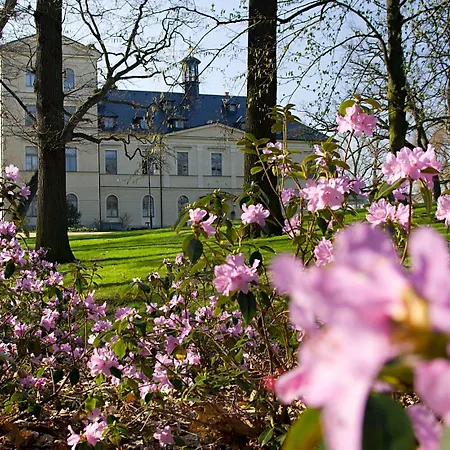 Отель Chateau Мцели